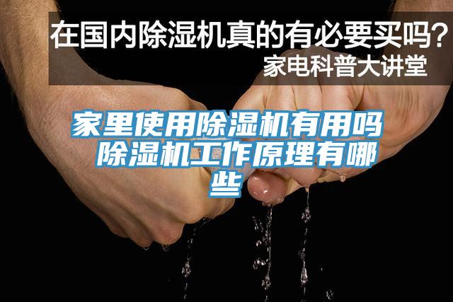 家裏使用好色先生在线播放有用嗎 好色先生在线播放工作原理有哪些