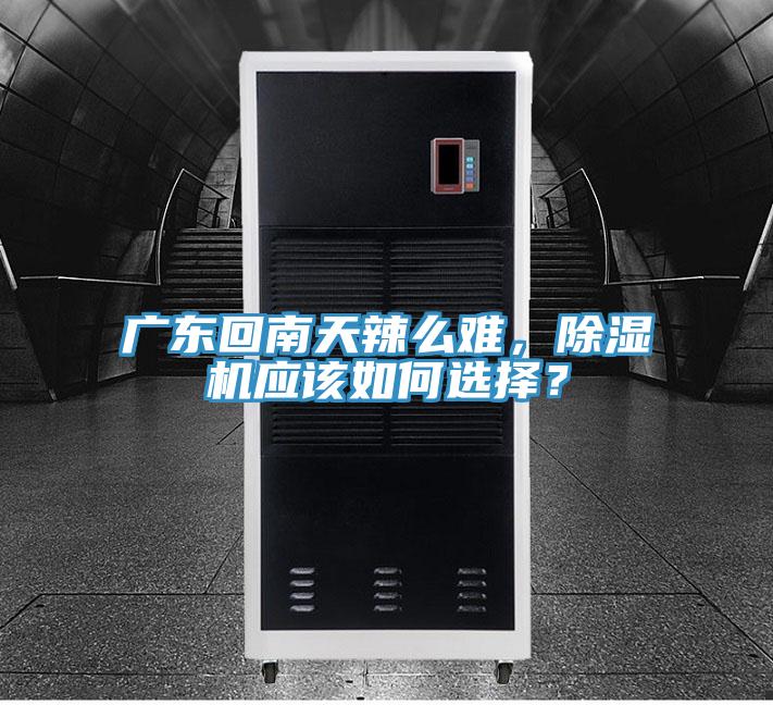 廣東回南天辣麽難,好色先生在线播放應該如何選擇?