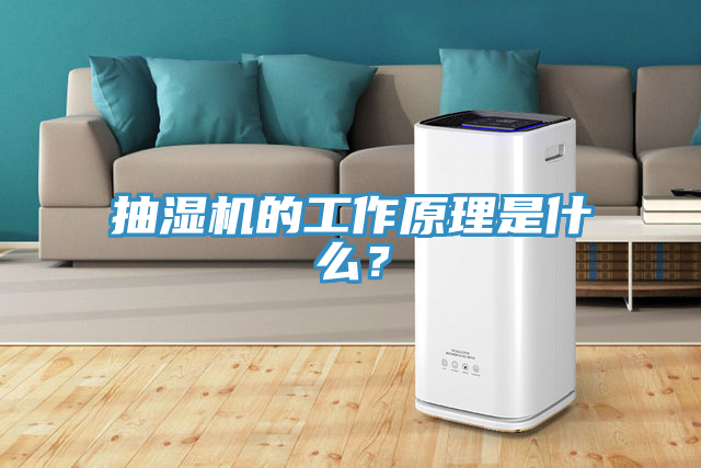 抽濕機的工作原理是什麽?