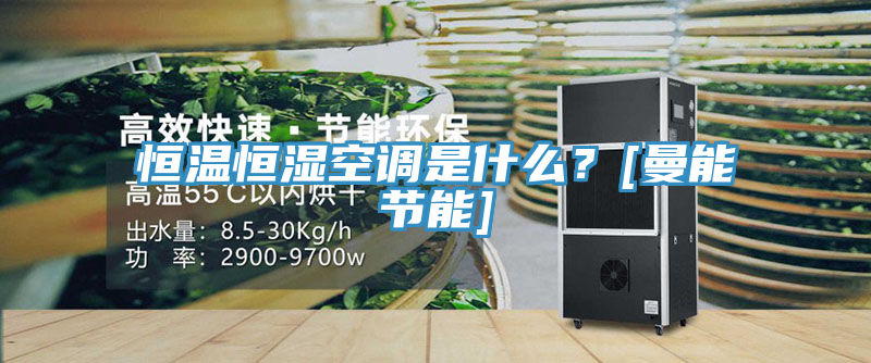 恒溫恒濕空調是什麽？[曼能節能]
