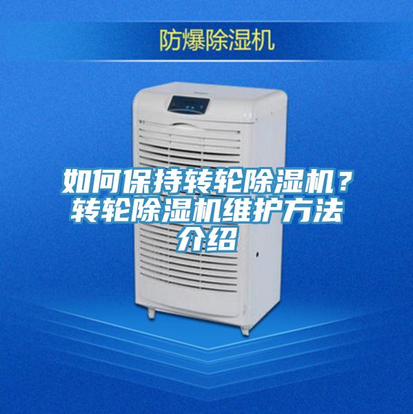 如何保持轉輪好色先生在线播放？轉輪好色先生在线播放維護方法介紹