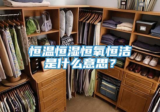 恒溫恒濕恒氧恒潔是什麽意思？