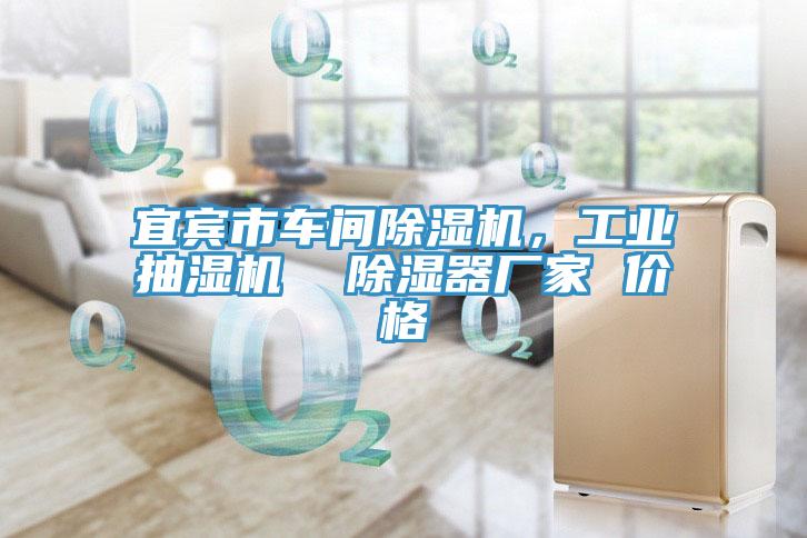 宜賓市車間好色先生在线播放,工業抽濕機 除濕器廠家 價格