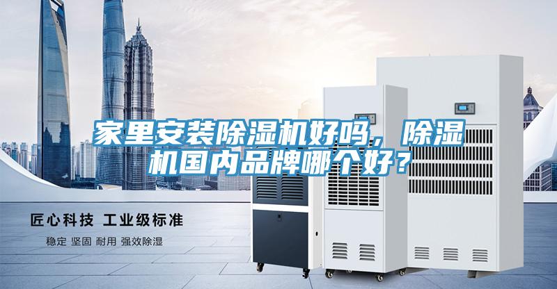 家裏安裝好色先生在线播放好嗎，好色先生在线播放國內品牌哪個好？