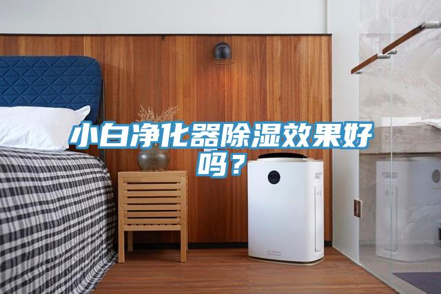 小白淨化器除濕效果好嗎？