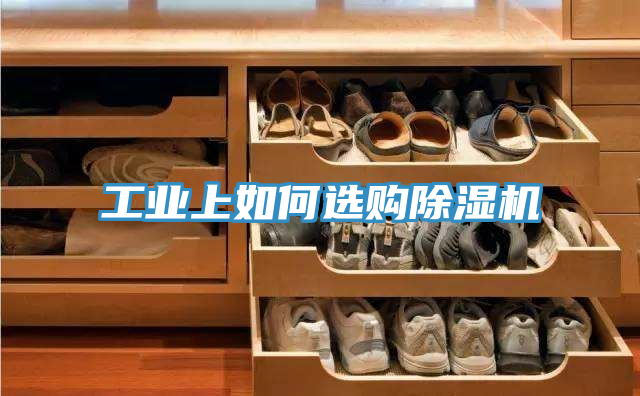 工業上如何選購好色先生在线播放