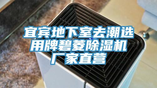 宜賓地下室去潮選用牌碧菱好色先生在线播放廠家直營