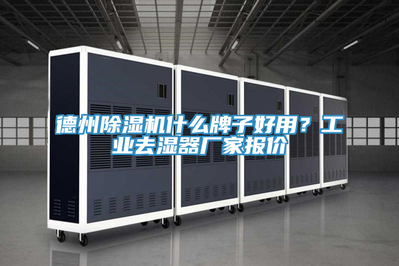 德州好色先生在线播放什麽牌子好用？工業去濕器廠家報價