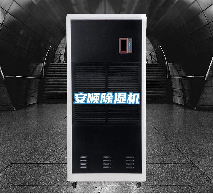 安順好色先生在线播放