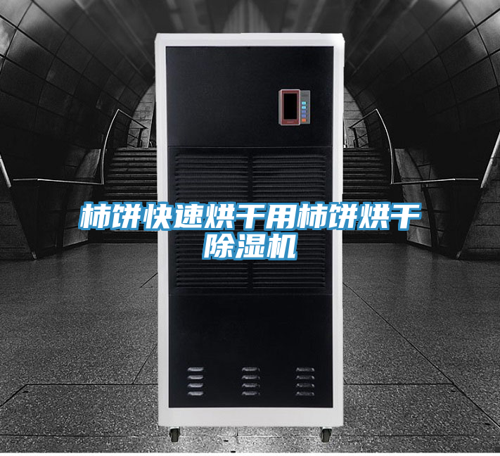 柿餅快速烘幹用柿餅烘幹好色先生在线播放