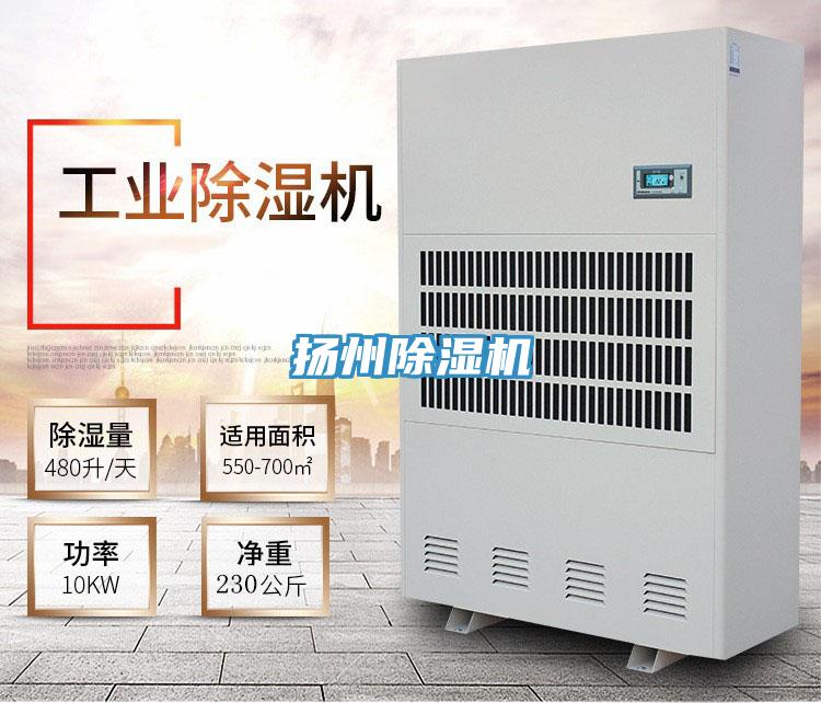 揚州好色先生在线播放