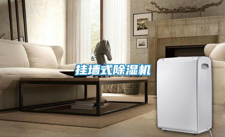 掛牆式好色先生在线播放