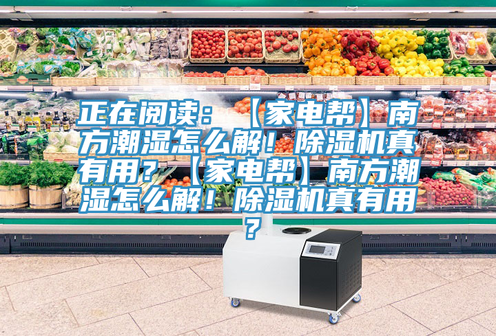 正在閱讀：【家電幫】南方潮濕怎麽解！好色先生在线播放真有用？【家電幫】南方潮濕怎麽解！好色先生在线播放真有用？