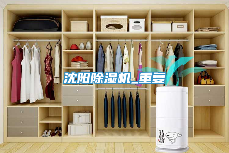 沈陽好色先生在线播放_重複