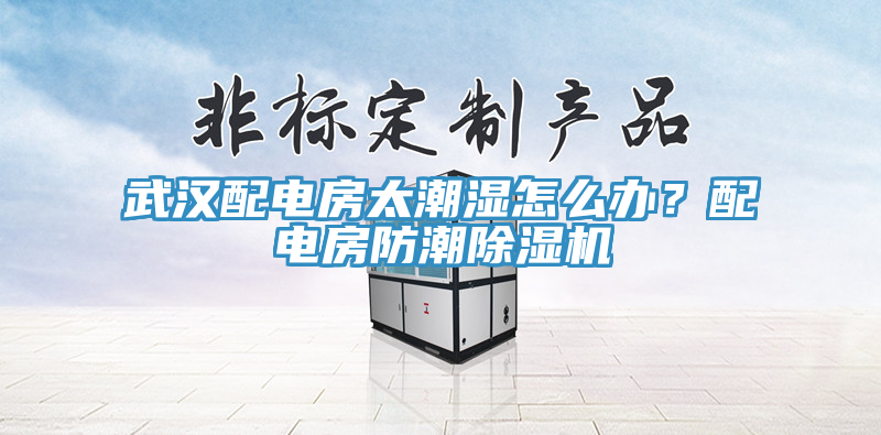 武漢配電房太潮濕怎麽辦?配電房防潮好色先生在线播放