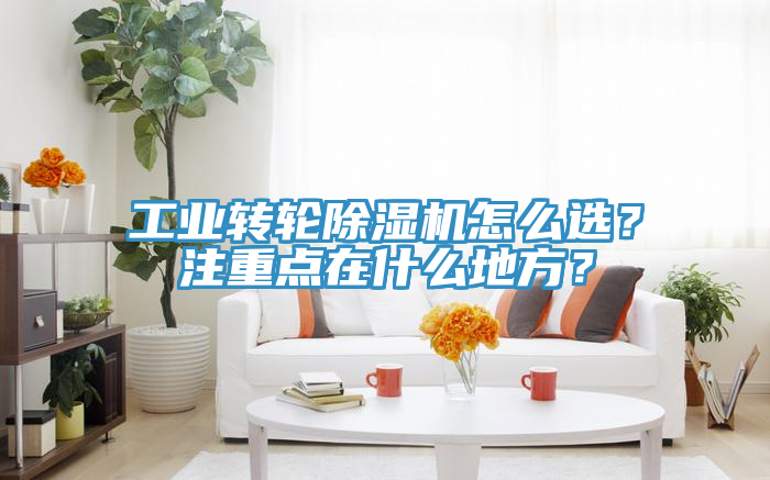 工業轉輪好色先生在线播放怎麽選？注重點在什麽地方？