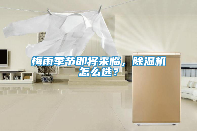 梅雨季節即將來臨,好色先生在线播放怎麽選?