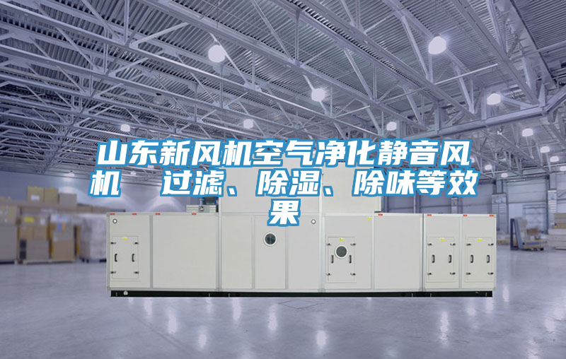 山東新風機空氣淨化靜音風機  過濾、除濕、除味等效果