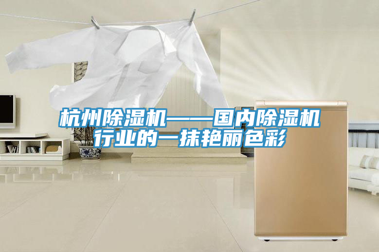 杭州好色先生在线播放——國內好色先生在线播放行業的一抹豔麗色彩