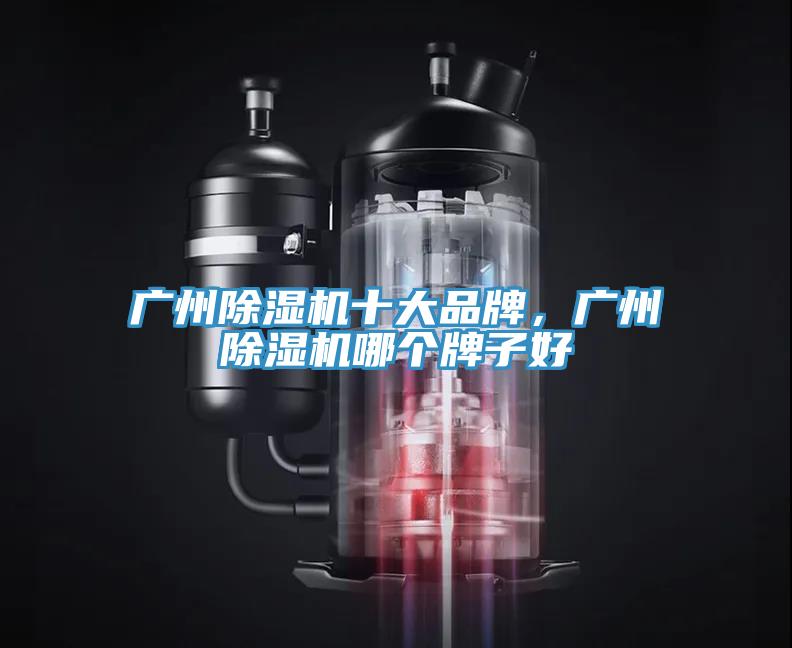 廣州好色先生在线播放十大品牌，廣州好色先生在线播放哪個牌子好