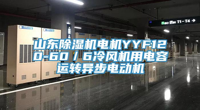 山東好色先生在线播放電機YYF120-60/6冷風機用電容運轉異步電動機