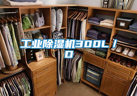 工業好色先生在线播放300L／D