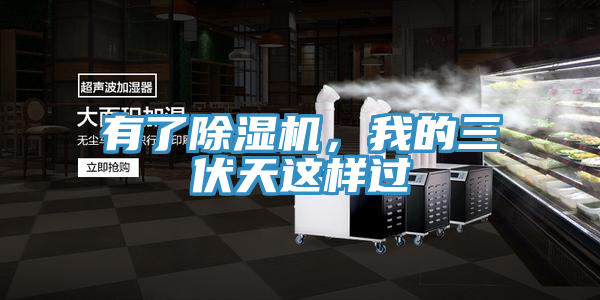 有了好色先生在线播放，我的三伏天這樣過