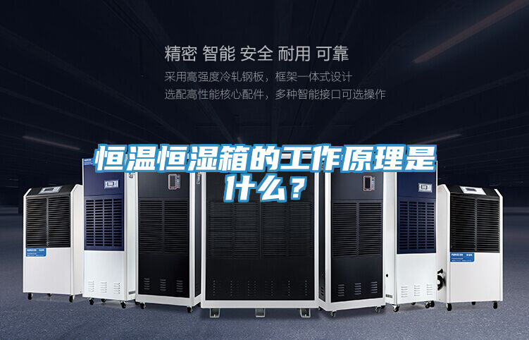 恒溫恒濕箱的工作原理是什麽？