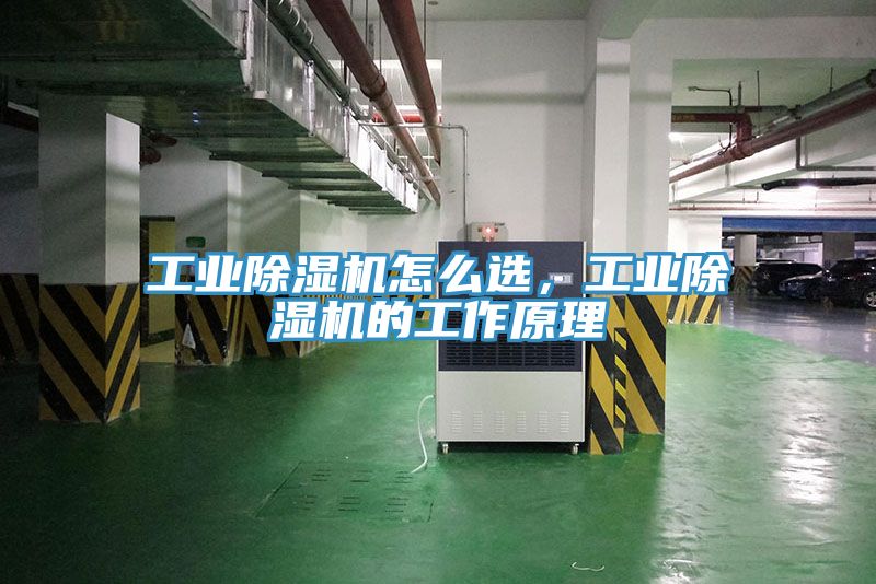 工業好色先生在线播放怎麽選,工業好色先生在线播放的工作原理