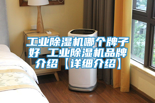 工業好色先生在线播放哪個牌子好 工業好色先生在线播放品牌介紹【詳細介紹】