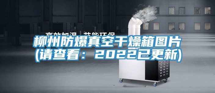 柳州防爆真空幹燥箱圖片(請查看：2022已更新)