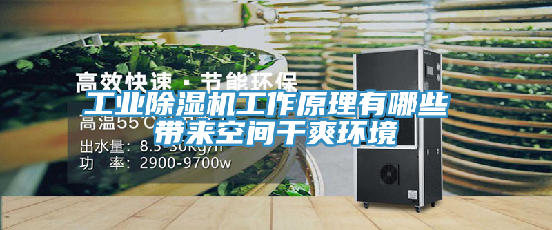 工業好色先生在线播放工作原理有哪些 帶來空間幹爽環境