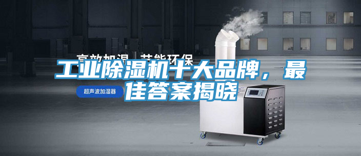 工業好色先生在线播放十大品牌，最佳答案揭曉