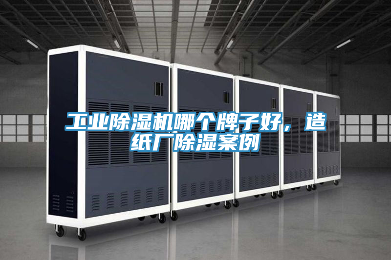 工業好色先生在线播放哪個牌子好，造紙廠除濕案例