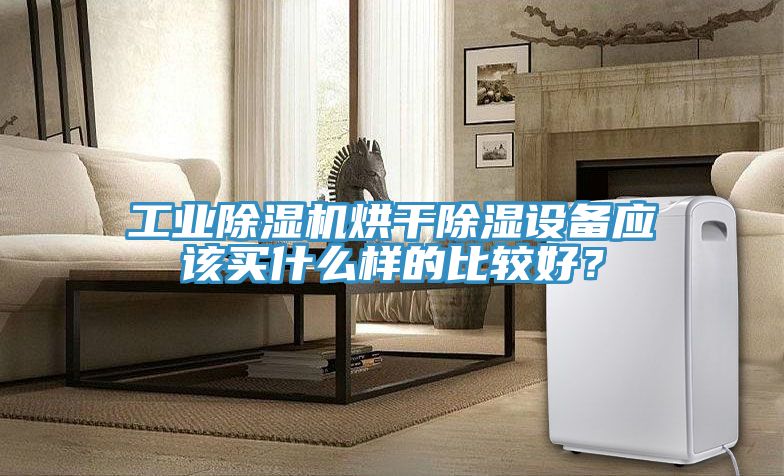工業好色先生在线播放烘幹除濕設備應該買什麽樣的比較好?