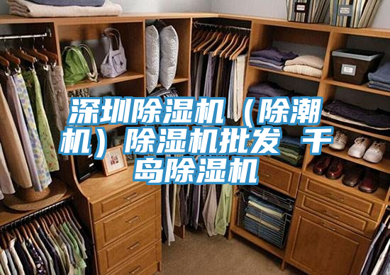 深圳好色先生在线播放（除潮機）好色先生在线播放批發 千島好色先生在线播放