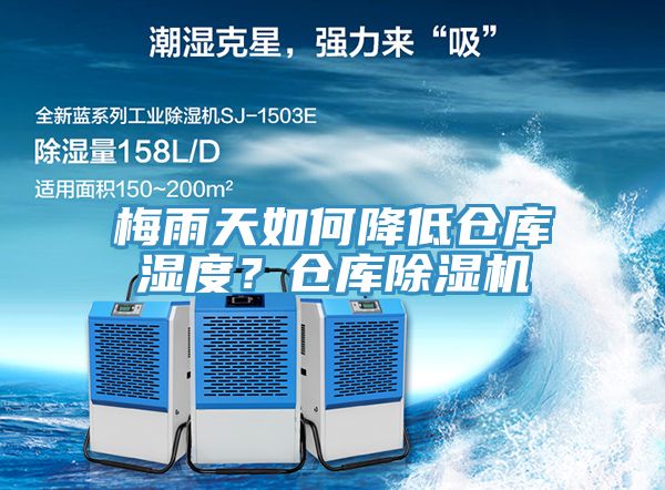 梅雨天如何降低倉庫濕度？倉庫好色先生在线播放