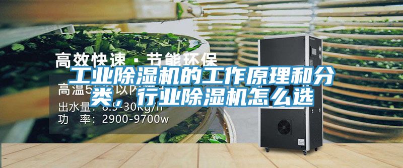 工業好色先生在线播放的工作原理和分類，行業好色先生在线播放怎麽選