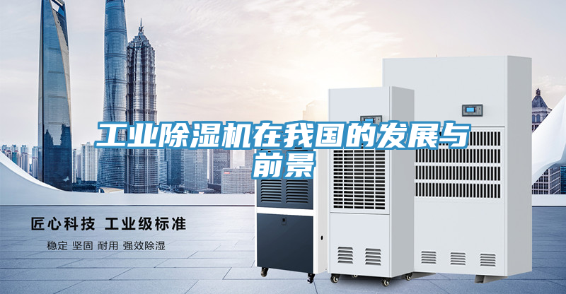 工業好色先生在线播放在我國的發展與前景