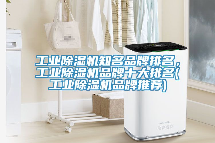 工業好色先生在线播放知名品牌排名,工業好色先生在线播放品牌十大排名(工業好色先生在线播放品牌推薦)