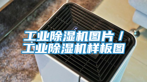 工業好色先生在线播放圖片／工業好色先生在线播放樣板圖