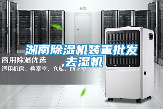 湖南好色先生在线播放裝置批發,去濕機