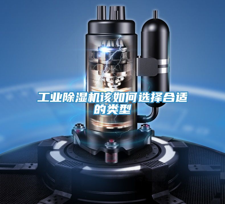 工業好色先生在线播放該如何選擇合適的類型