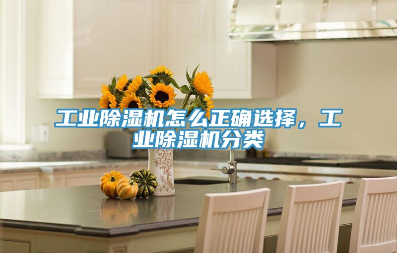 工業好色先生在线播放怎麽正確選擇,工業好色先生在线播放分類