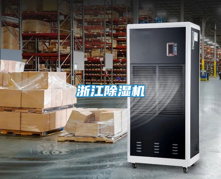 浙江好色先生在线播放