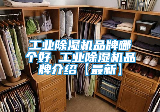 工業好色先生在线播放品牌哪個好 工業好色先生在线播放品牌介紹【最新】
