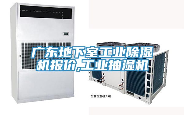 廣東地下室工業好色先生在线播放報價,工業抽濕機