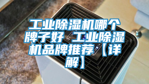 工業好色先生在线播放哪個牌子好 工業好色先生在线播放品牌推薦【詳解】