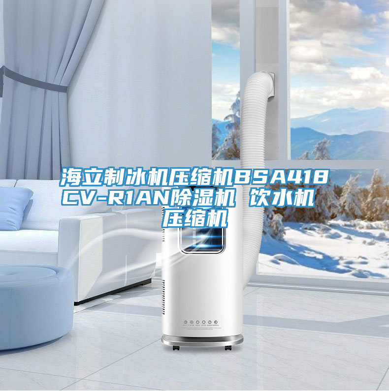 海立製冰機壓縮機BSA418CV-R1AN好色先生在线播放 飲水機 壓縮機
