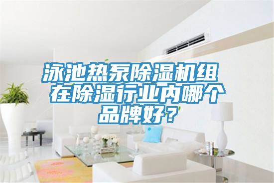 泳池熱泵好色先生在线播放組 在除濕行業內哪個品牌好？